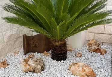 WhatsApp Image 2025-04-29 at 19.31.57 282 29